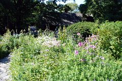 25C Shakespeare Garden In Central Park West Side 79-80 St.jpg